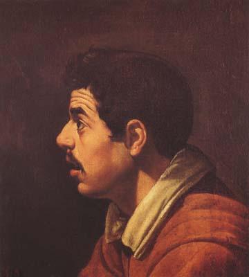 Diego Velazquez Portrait de Jenne homme de profil (df02) Sweden oil painting art